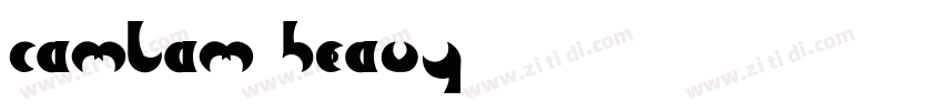 camlam heavy字体转换